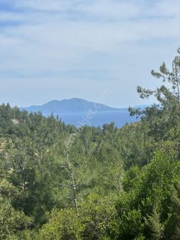 Kızılağaçta Harika Deniz Manzaralı Tarla