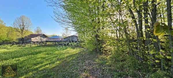 Acara'dan İznik Kırıntıa'da 3 Villalık, 2,131m² İmarlı Arsa