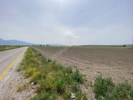 Manisa Şehzadeler Tekeliler Mah Asvalta Çepheli 13670 M2 Tarla