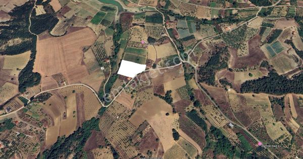 Geyve Günhoşlar Da Satılık Verimli Bahçe