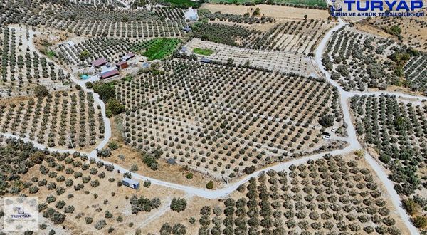 Full Takasa Açık Didim'de 20 Dönüm Tarla