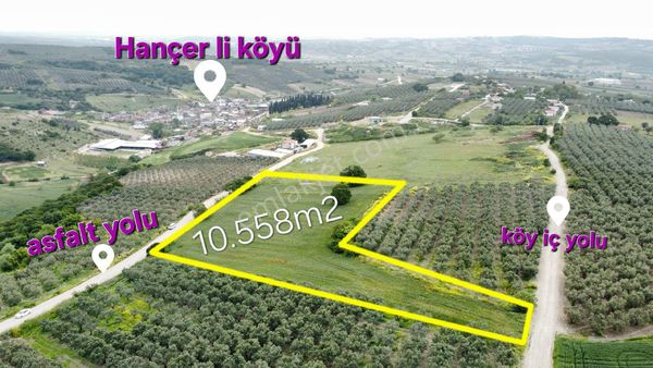 Asfalta Cepheli Elektrik Dibinde 10.558 M2 Kurban Çiftliğine Yakın Köye Yakın Yatırıma Değer
