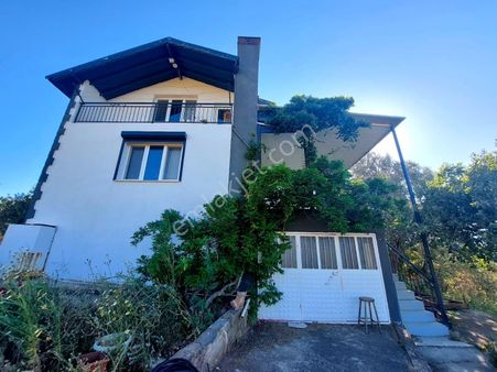 İzmir Seferihisar Orhanlı Da Merkeze Yakın Satılık 10 Dönüm Zeytinlik