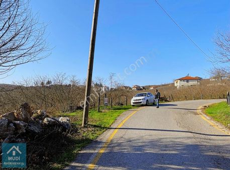 Sakarya Karasuda Ana Yola Cepheli Fındık Bahçesi