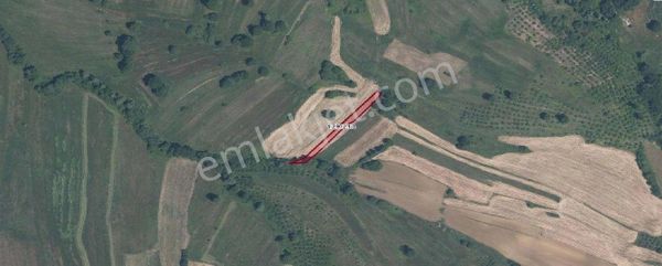 Remax Hür Ülkü Çakar'dan İzmit Bulduk Köyü'nde Satılık Yatırımlık Tarla