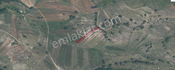 Remax Hür Ülkü Çakar'dan İzmit Bulduk Köyü'nde Satılık Yatırımlık Tarla