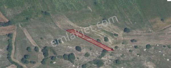 Remax Hür Ülkü Çakar'dan İzmit Bulduk Köyü'nde Satılık Yatırımlık Tarla