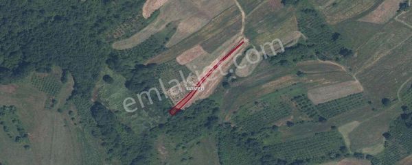 Remax Hür Ülkü Çakar'dan İzmit Bulduk Köyü'nde Satılık Yatırımlık Tarla