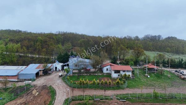 İnegöl Karahasanlar Köyünde Ful+ful Satılık Çiftlik