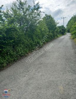 Hendek Yarıca Da Yola Cepheli Verimli Fındık Bahçesi -remax Ümit