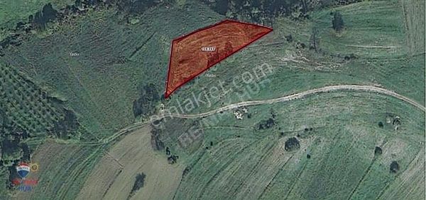 Remax Hür Ülkü Çakar'dan İzmit Bulduk Köyü'nde Satılık Tarla
