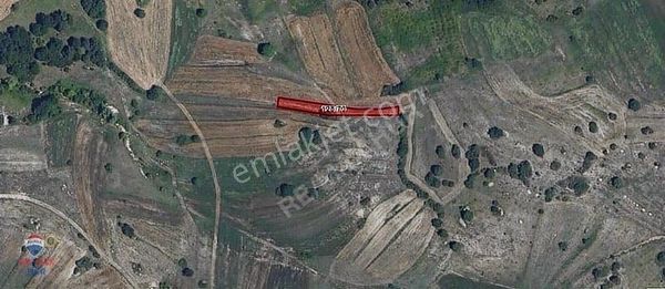 Remax Hür Ülkü Çakar'dan İzmit Bulduk Köyü'nde Satılık Tarla