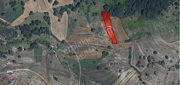 Remax Hür Ülkü Çakar'dan İzmit Bulduk Köyü'nde Satılık Tarla