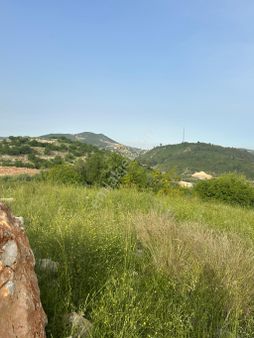 Aziz Emlak‘tan Darıseki’de Satılık 20 Dönüm Full Mersin Manzaralı Tarla İmara Yakın