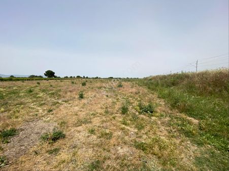 Manisa Şehzadeler Nurlu Pınar Dibi 25 Dönüm Tarla Arazi