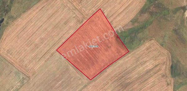 Tekirdağ Misinli'de 390 Dönüm Mera İçinde Satılık Arazi