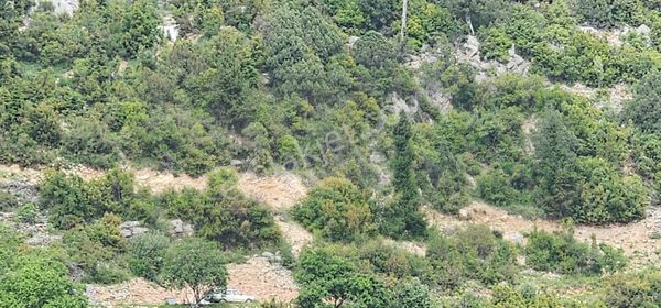 Antalya Akseki Sadıklarda Satılık Köye Yakın Mustakil Parsel