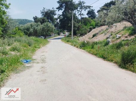 Uzun Emlak'tan Manisa Merkez'e 10 Dk Hobi Bahçesi Zeytinlik