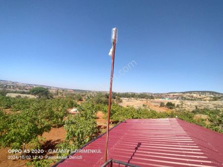 Denizli Pamukkale Güzelpınar Satılık Ceviz Bahçesi