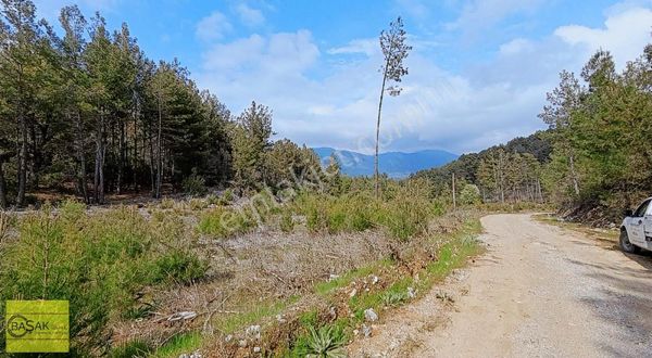 Başak'tan Orman İçerisinde Muhteşem Doğasıyla Tek Tapu Tarla