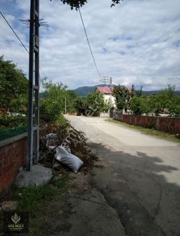 Kuzuluk Ta Kaçırılmayacak Müstakil Tadında Yaşam Alani