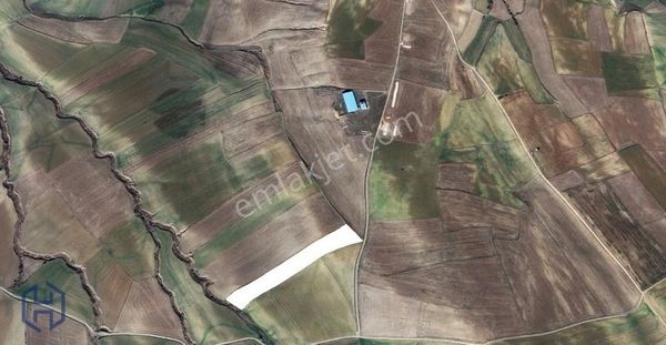 Harbert Nekerek (bağlarca) Satılık Fırsat Tarla