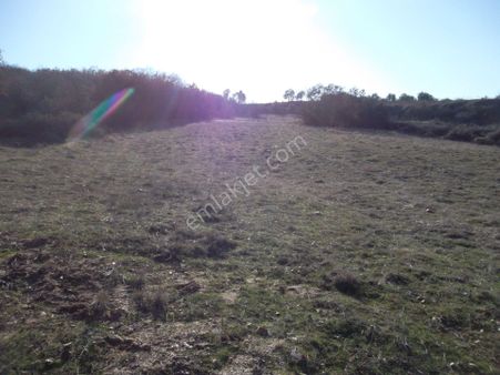 Manisa Salihli Hacı Hıdır Mahallesinde Satılık Arazi