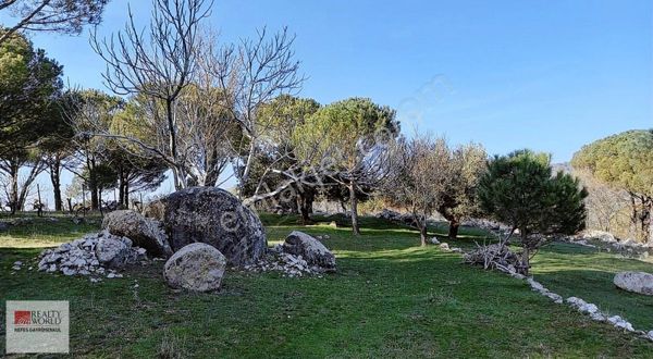 Rw Nefes' Ten Ayvalık Bağyüzü' Nde Bağ Evi Niteliğinde Arsa