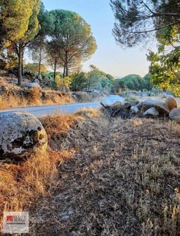 Rw Nefes' Ten İzmir Bergama Okçular' Da Satılık 3361 M² Bağ