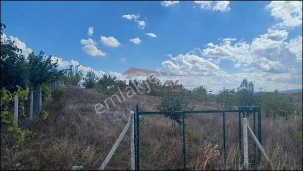 Güvenay - Çorum Paşa Bağları Paşa Köy Üstü 1 Dönum Bağ