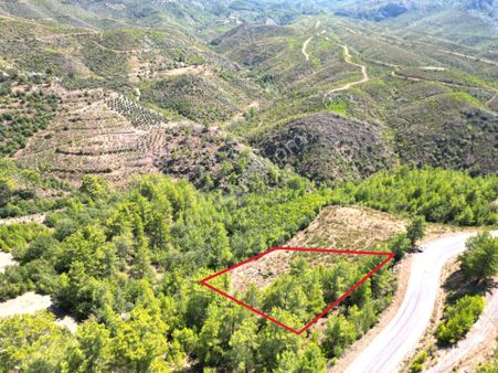 Alanya'da Satılık Yola Sıfır Acil Fırsat Tarla 1100 Metrekare