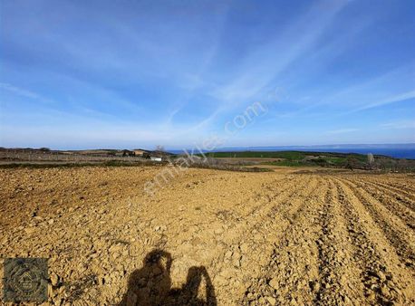 Gelibolu Güneylide Deniz Manzaralı Satılık Arsa