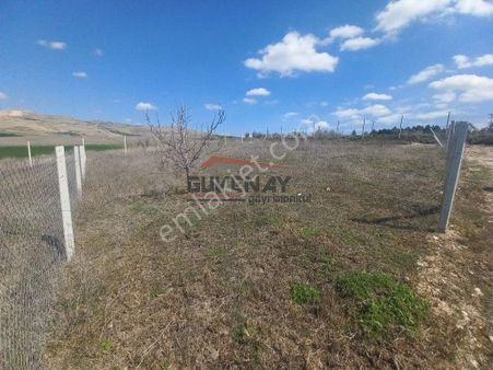 Güvenay - Çorum Cemilbey Yolu Kayı - Kıvırcık Yol Ayrımı Ana Yolda Bahçe