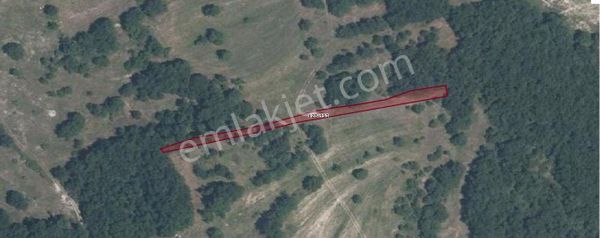 Remax Hür Ülkü Çakar'dan İzmit Bulduk Köyü'nde Satılık Yatırımlık Tarla