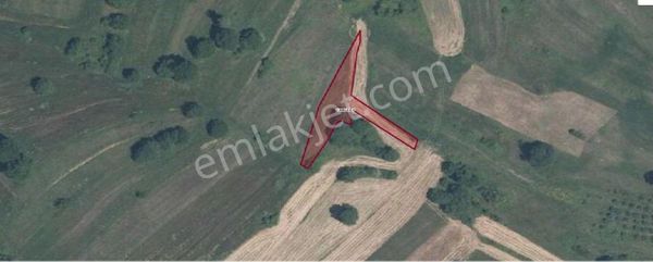 Remax Hür Ülkü Çakar'dan İzmit Bulduk Köyü'nde Satılık Yatırımlık Tarla