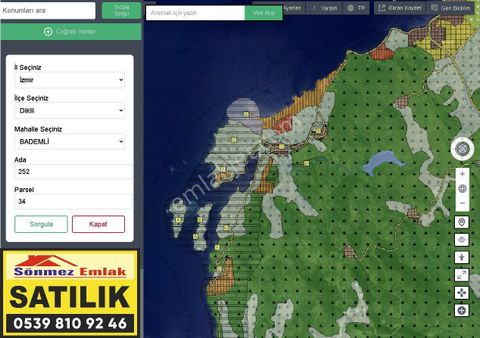 İzmir Dikili Bademli,de Satılık Denize Nazır 1697m2 Zeytinli Tarla