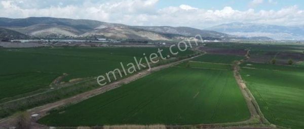 Yıldız Emlaktan Şerefoğlu Mahallesi Satılık Tarla