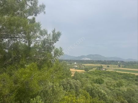 Günel Emlaktan Satılık Tarla