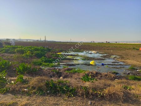 Torbalı Mah. Tek Tapu, Müstakil Parsel, Yol Cepheli, Masa Üstü Gibi Düz 7.700m2 Arazimiz Satılık