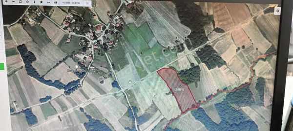 A.y.s. Gayrimenkul Den Satılık Tarla 17 Dönüm