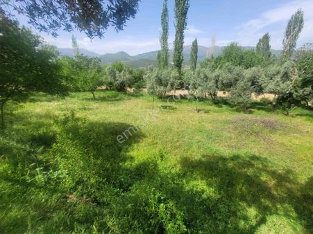 Meta'dan Avunduruk Merkezde Satılık Ev Ve Bahçesi