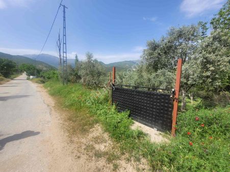 Meta'dan Kiraz'a Yakın Ana Yola Cephe 1.631 M² Arazi