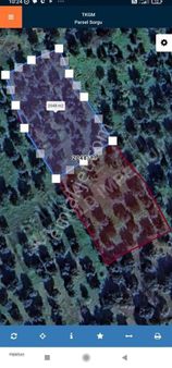 Aliağa Şakranda Denize Nazır Satılık Zeytinlik