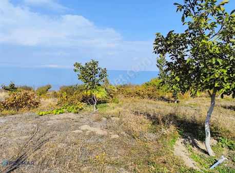 Premar'dan Tuşba Halkalı'da Satılık Huzur Bahçesi