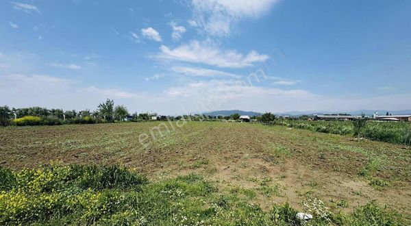 Torbalı Şehitlerde 3.750 M2 Resmiy Yolu Var