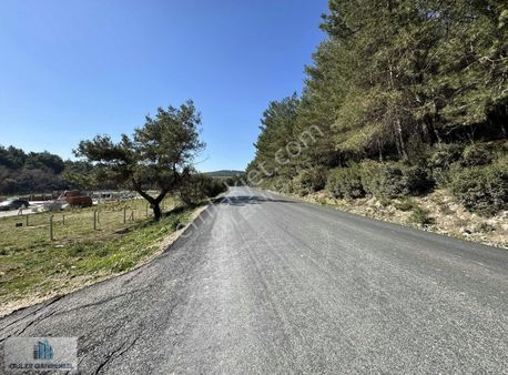 Güler'den Yıldızlar'da Tapulu Cadde Üstü Arsa