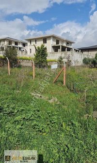 Lotusun Güney Yanı