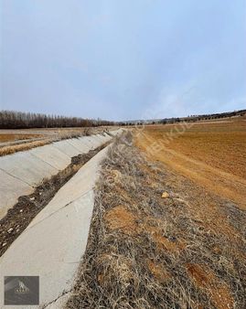 Asaf Gayrimenkul'den Yatırımlık Yollu Tarla