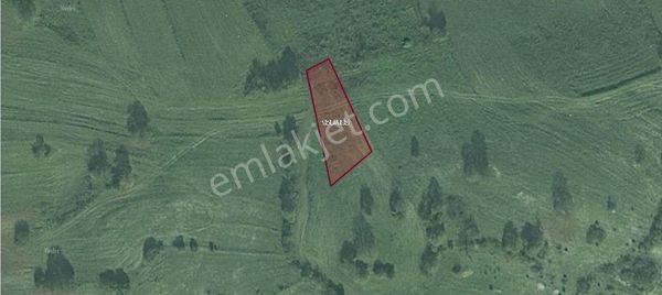 Remax Hür Ülkü Çakar'dan İzmit Bulduk Köyü'nde Satılık Yatırımlık Tarla