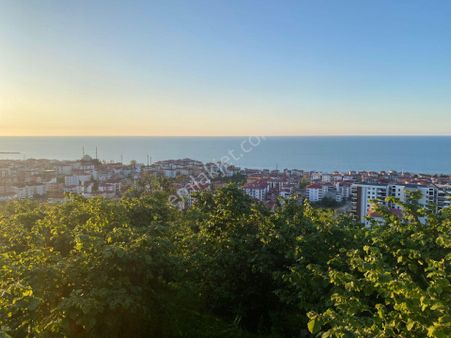 Wisrem'den Bulancak'ta Panaromik Deniz Manzaralı Satılık Arsa